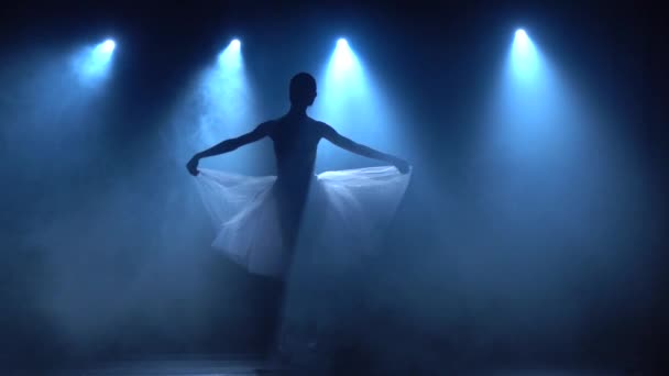 Beyaz etekli genç balerin klasik bale yapıyor. Yavaş çekim. — Stok video