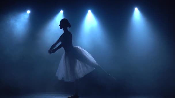 Skicklig ballerina i vit tutu dansande klassisk balett. Långsamma rörelser. — Stockvideo