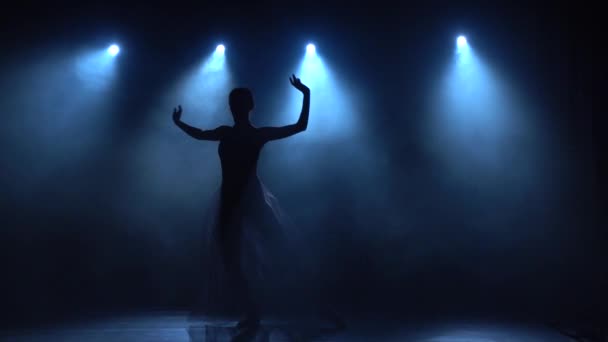 Flexibel ballerina i tutu dans klassiska balett element. Långsamma rörelser. — Stockvideo