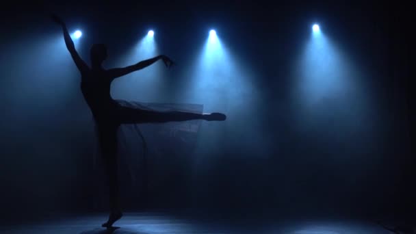 Flexible ballerina in tutu dancing classical ballet elements. Slow motion. — Stock Video