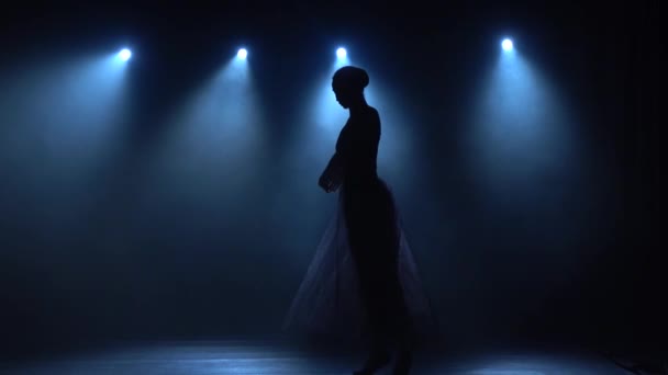 Delightful ballerina in tutu dancing classical ballet elements. Slow motion. — Stock Video