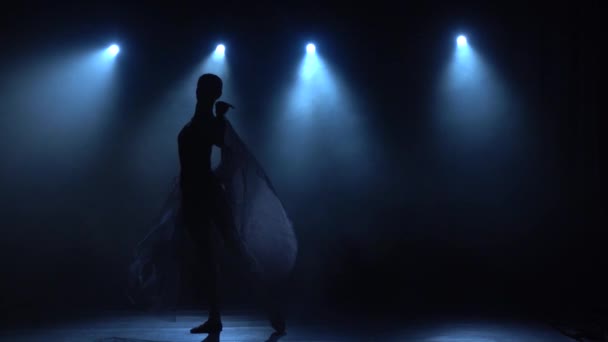 Klasik bale figürleriyle dans eden enfes bir balerin. Yavaş çekim. — Stok video
