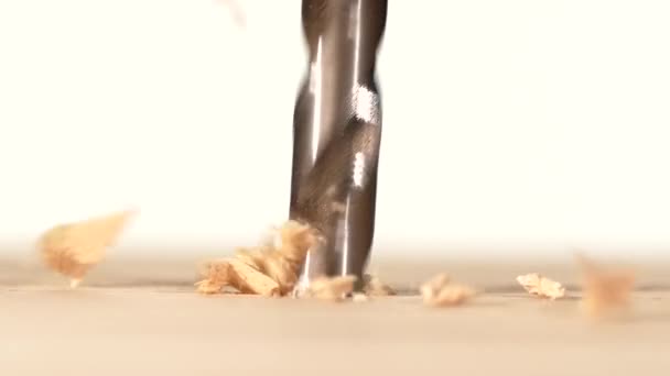 Boor met zaagsel op houten plaat, wit, close up — Stockvideo