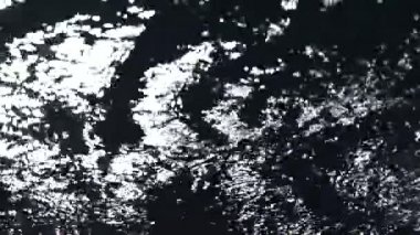 Yüzücü el havuzda suya bir darbe vuruyor. Kapatın. İyi geceler..