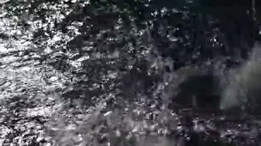 Yüzücü el havuzda suya bir darbe vuruyor. Kapatın. İyi geceler..