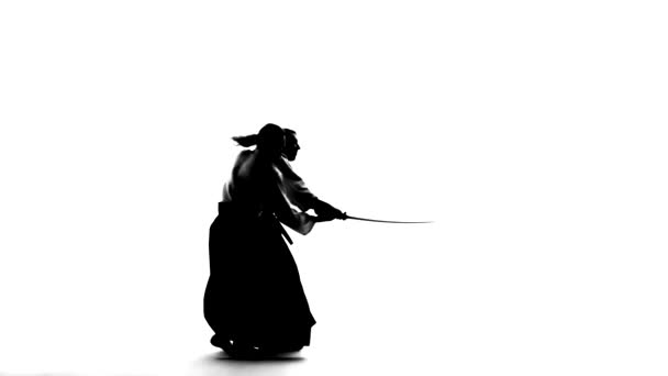 Silhuetas pretas de macho e fêmea em keikogi ou quimono demonstrando aikido usando bokken. Isolado. Movimento lento . — Vídeo de Stock