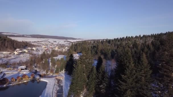 Widok z powietrza zimowego krajobrazu ze śnieżnymi wzgórzami i drzewami — Wideo stockowe