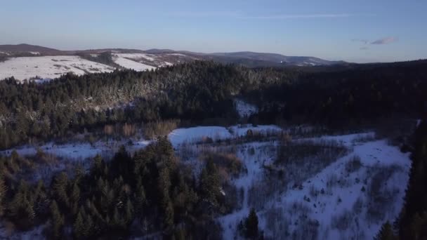 Widok z powietrza na zaśnieżony las z wysokimi sosnami w górach w krajobrazie — Wideo stockowe