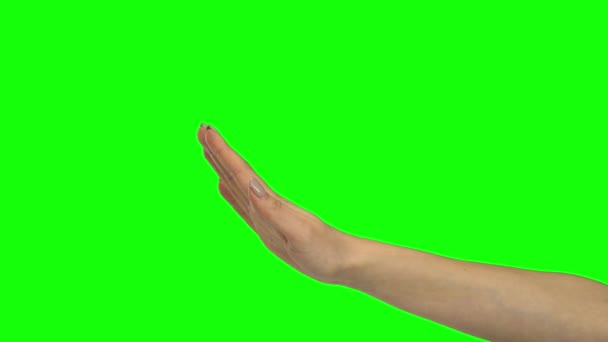 Hand of girl is gesturing stop. Chroma key. Close up — 비디오
