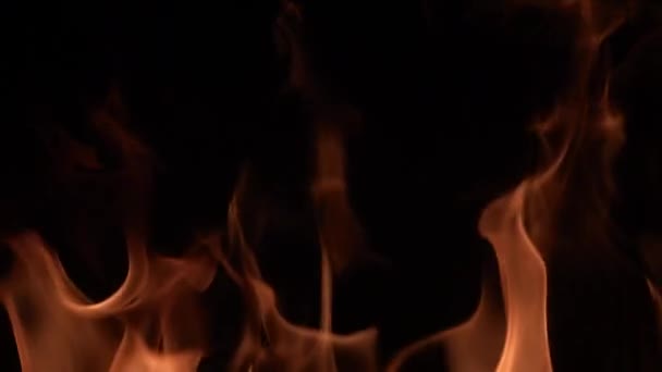 Super Zeitlupe der Feuerstelle isoliert auf schwarzem Hintergrund. Gefilmt mit High-Speed-Kinokamera — Stockvideo