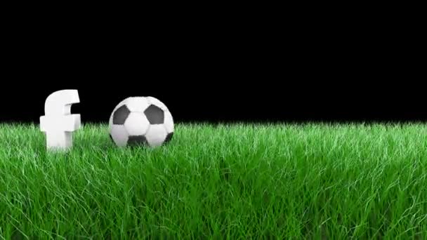 Bola rodando a través del campo de hierba. Apareciendo palabra fútbol. Animación 3D . — Vídeos de Stock