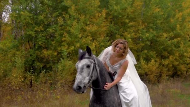 Женщина в белом свадебном платье гладит лошадь. Закрыть — стоковое видео