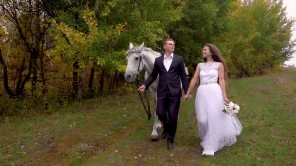 Żona i mąż trzymają się za ręce w pobliżu lasu. Koń czołowy. — Wideo stockowe