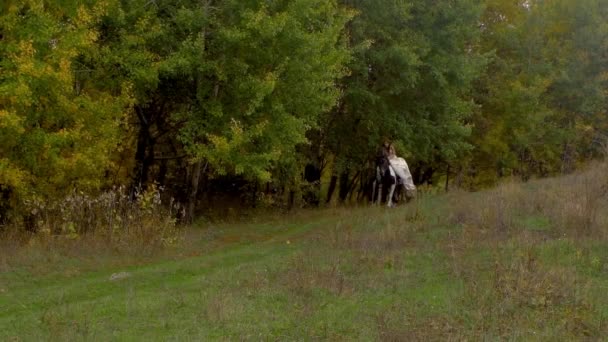 Novia pelirroja en vestido de novia a caballo galopando cerca del bosque — Vídeo de stock