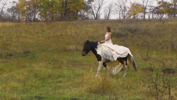 Red-haired female in beige dress is riding horse along meadow — Stock Video