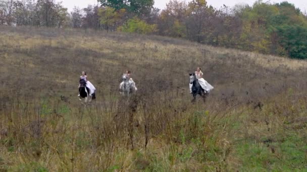 Three girls in wedding dresses are riding horses along field — 비디오