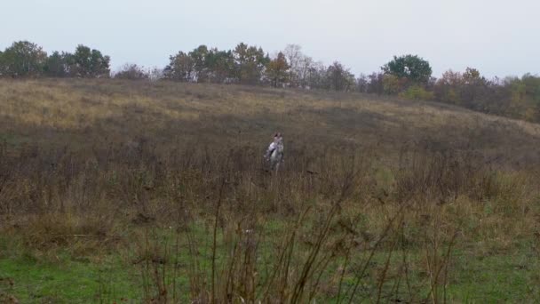 Long-haired lady in white dress riding galloping horse through meadow — 비디오