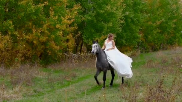 Великолепная девушка в белом платье едет лошадь вдоль леса — стоковое видео