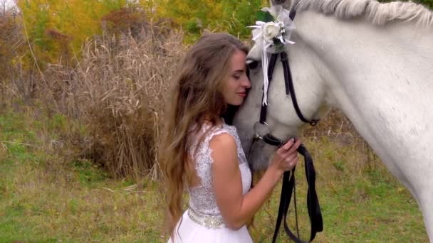 Невеста в белом платье кормит и гладит лошадь. Закрыть — стоковое видео