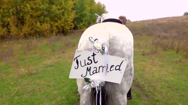 Novia y novio recién casados de pie tomados de la mano cerca del caballo con la inscripción recién casados . — Vídeos de Stock