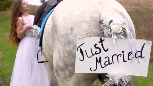 Just married bride and groom standing holding hands near the horse with the inscription just married. — Stock Video