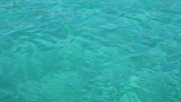 Pequeñas olas de mar azul ondulando por la mañana. De cerca. Día soleado . — Vídeos de Stock