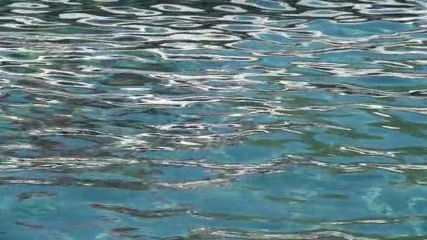 Little waves blue sea rippling in the morning. Close up. Sunny day. — Stockvideo