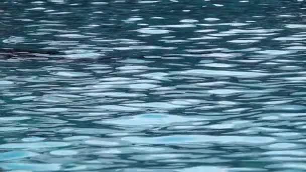 Slow motion of disturbed blue sea water surface. Close up — Wideo stockowe