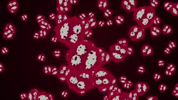 Microbi e batteri al microscopio. Concetto di Coronavirus. Canale alfa . — Video Stock