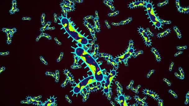 Mikroskop altında mikroplar ve bakteriler. Coronavirus konsepti. Alfa kanalı. — Stok video