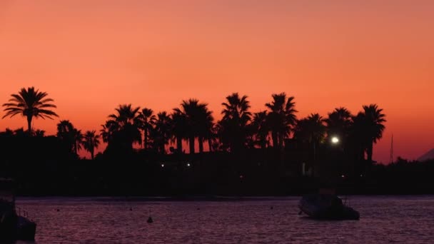 Kotwicowane łodzie na Morzu Śródziemnym, Wyspy Liparyjskie. Palmy, budynki i światła o zmierzchu. Zachód słońca, kolorowe niebo. Sycylia, Włochy — Wideo stockowe
