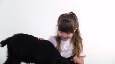 Tatlı çocuk beyaz arka planda küçük siyah keçiyle oynuyor. Kapatın. Çocukların duygularının video klibi