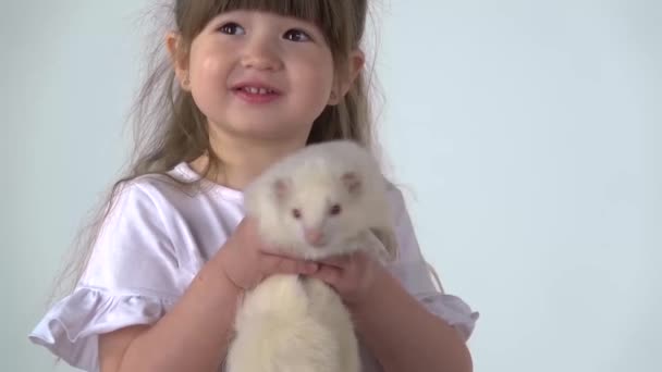 Cute child holding albinos ferret furo with red eyes at white background. Happy childhood concept. Slow motion. Close up — Stock Video