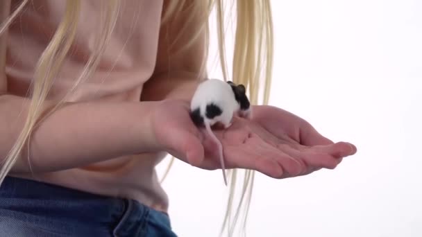 La bambina con lunghi capelli biondi tiene il ratto decorativo su sfondo bianco. Al rallentatore. Da vicino. — Video Stock