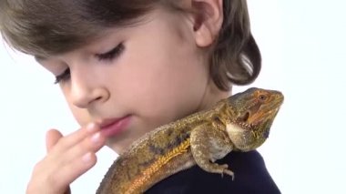 Oğlan omzunu tutuyor ve sakallı agamasını beyaz arka planda okşuyor. Ağır çekim. Kapat.