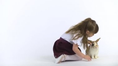 Beyaz arka planda tüylü üç renkli tavşanı olan sevimli bir çocuk. Mutlu çocukluk kavramı. Yavaş çekim