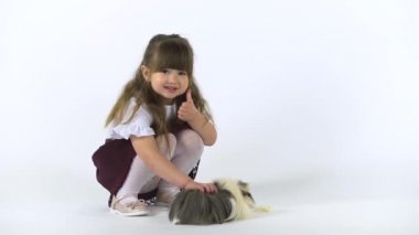 Şirin çocuk beyaz arka planda pofuduk Sheltie kobayını okşuyor. Mutlu çocukluk kavramı. Yavaş çekim