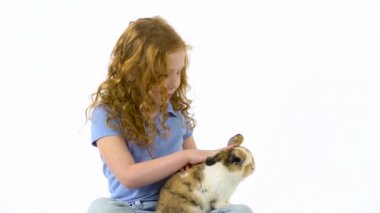 Kıvırcık saçlı kızıl saçlı küçük kız beyaz arka planda pofuduk üç renkli tavşanı okşuyor. Yavaş çekim.