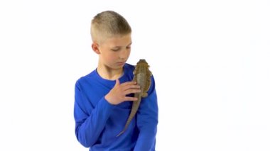 Oğlanın omzunda sakallı agama vardı ve beyaz arka planda onu okşuyordu. Yavaş çekim.