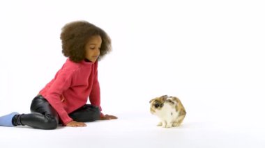 Şirin üç renkli tavşan etrafı kokluyor ve etrafa bakıyor, küçük Afrikalı kıvırcık kız onu okşuyor. Yavaş çekim