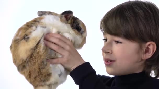 Boy está segurando e examina cuidadosamente três coelhos coloridos no fundo branco. Movimento lento. Fechar — Vídeo de Stock