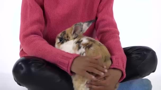 A menina africana está segurando e acariciando três coelhos coloridos no fundo branco. Fecha. Movimento lento — Vídeo de Stock