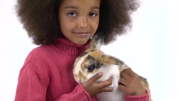 Pequeña chica rizada africana está sosteniendo y acariciando tres conejos de color en el fondo blanco. De cerca. Movimiento lento — Vídeo de stock