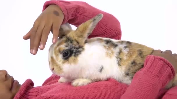 Klein Afrikaans krullend meisje houdt drie gekleurde konijnen vast op een witte achtergrond. Sluit maar af. Langzame beweging — Stockvideo