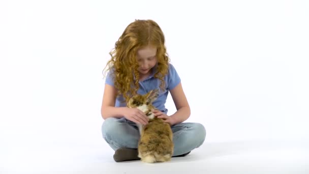 Redheaded little girl with curly hair is stroking fluffy three colored rabbit at white background. Slow motion. — Stock Video