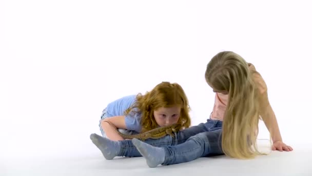 Две маленькие девочки гладят бородатую агаму на белом фоне. Медленное движение. Закрыть — стоковое видео