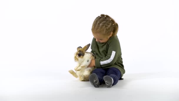 Baby Mädchen mit Zöpfen streichelt flauschige dreifarbige Kaninchen auf weißem Hintergrund. Zeitlupe. — Stockvideo