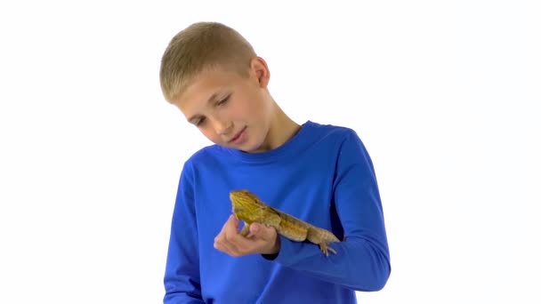 Bärtige Agamas sitzen auf der Hand eines Jungen und er streichelt sie auf weißem Hintergrund. Zeitlupe. — Stockvideo