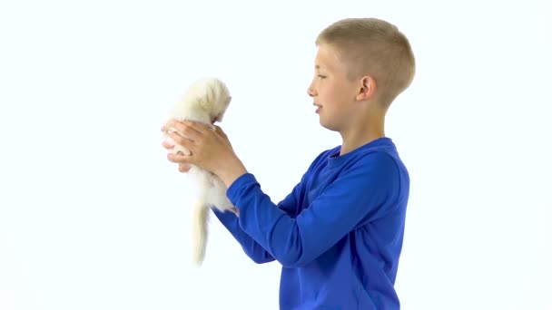 Niño feliz está sosteniendo albinos hurón furo con ojos rojos en el fondo blanco. Movimiento lento . — Vídeo de stock