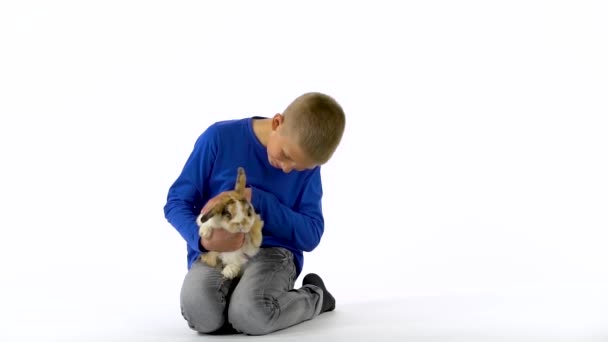 Glücklicher Junge hält und streichelt dreifarbiges Kaninchen auf weißem Hintergrund. Zeitlupe. — Stockvideo